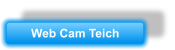 Web Cam Teich